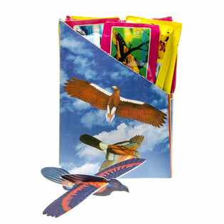 Aviones de espuma de p&aacute;jaros en expositor (48 uds.)